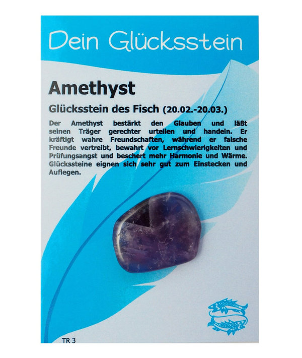 Glückstein Amethyst, Handschmeichler, Taschenstein für den Fisch